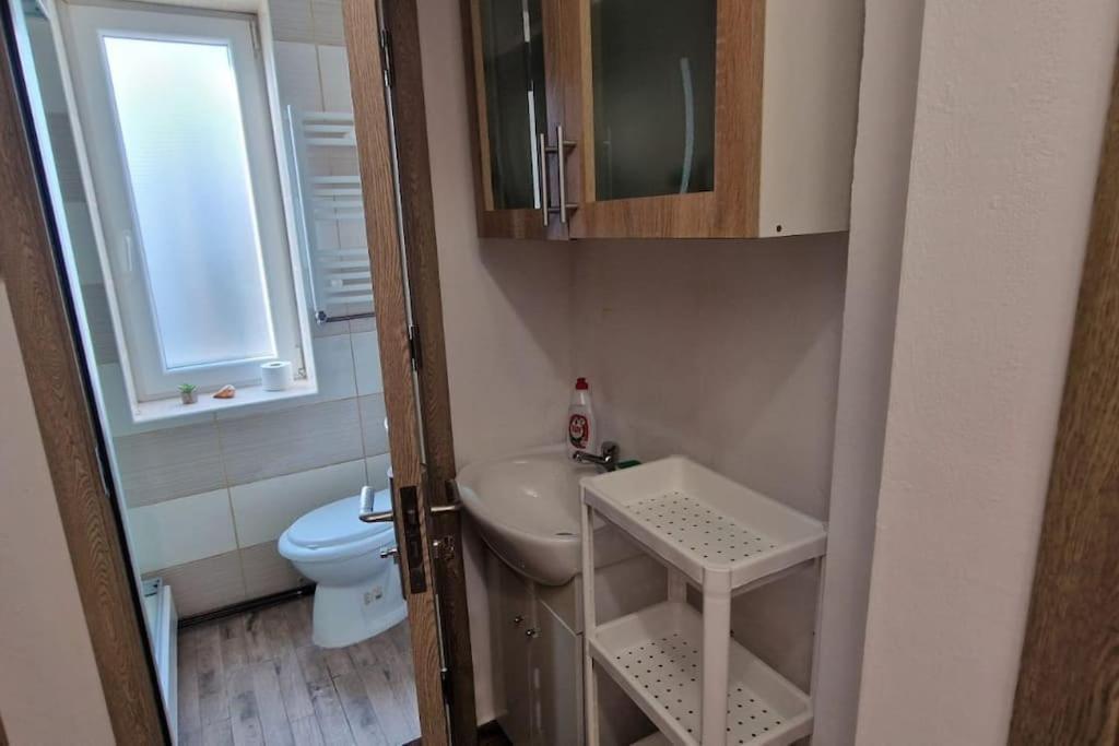 Little And Cozy Studio Breakfast Included Тимишоара Экстерьер фото