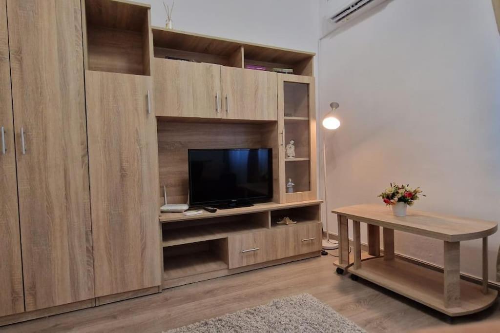 Little And Cozy Studio Breakfast Included Тимишоара Экстерьер фото