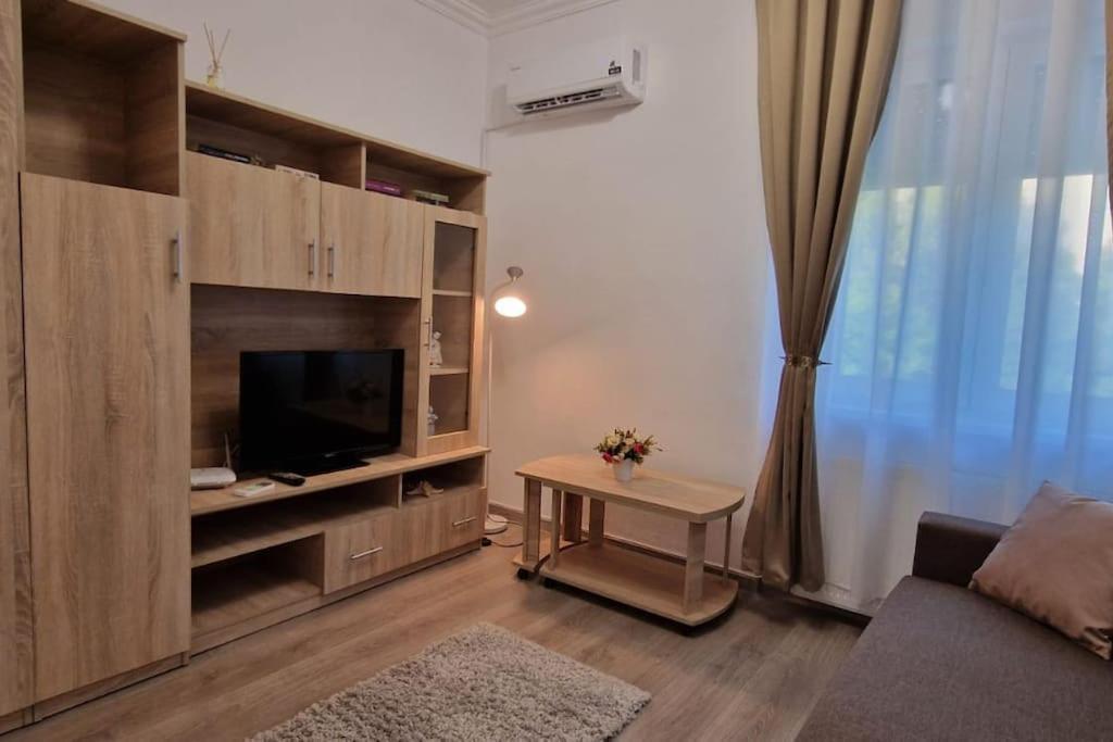 Little And Cozy Studio Breakfast Included Тимишоара Экстерьер фото